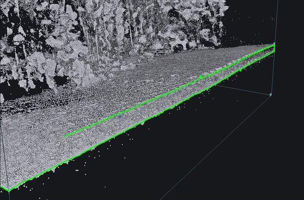 Deux nuages de points d'une forêt dans Cyclope3D&nbsp;: en vert, leurs traits d'intersection avec la boîte de coupe, décalés l'un de l'autre.
